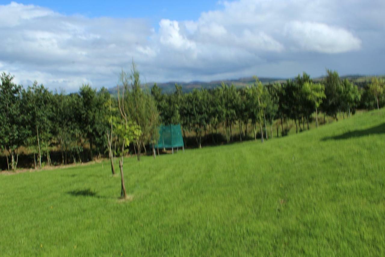Bunlin Heights Self Catering Studio Milford Exterior photo